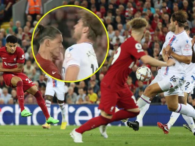 1660608591238093685.jpg 1660608584.jpg